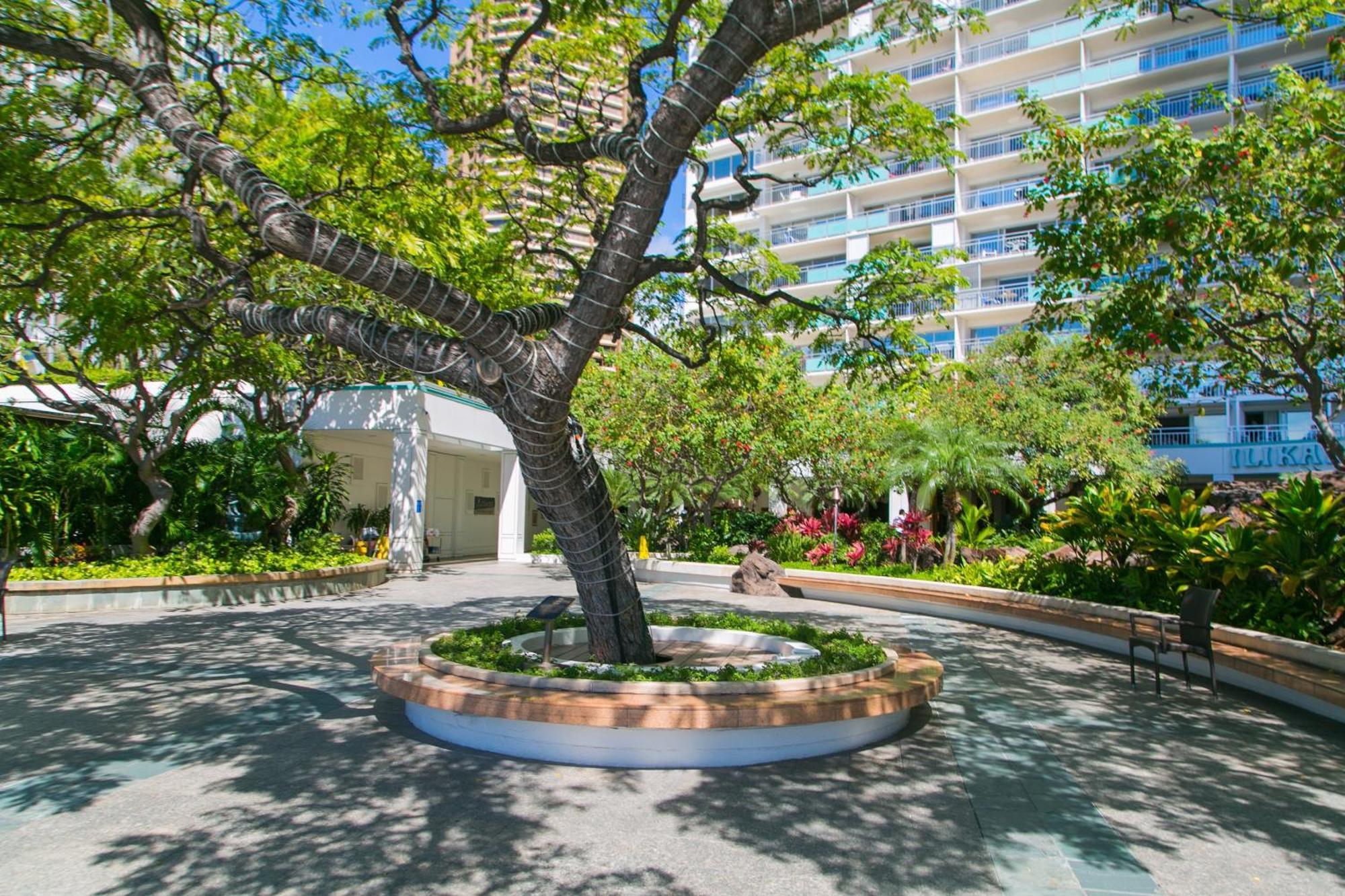 Ilikai Tower 936 Lagoon View 1Br Honolulu Exterior foto